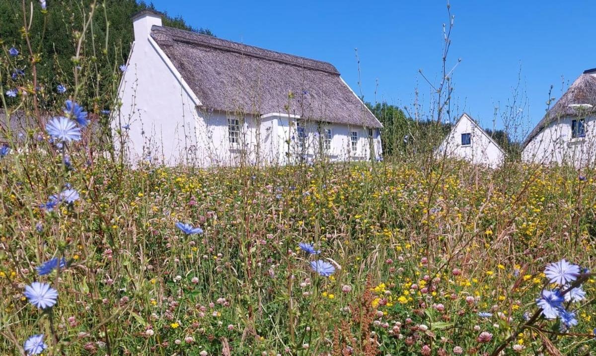 Corofin Lake Cottages Exteriér fotografie